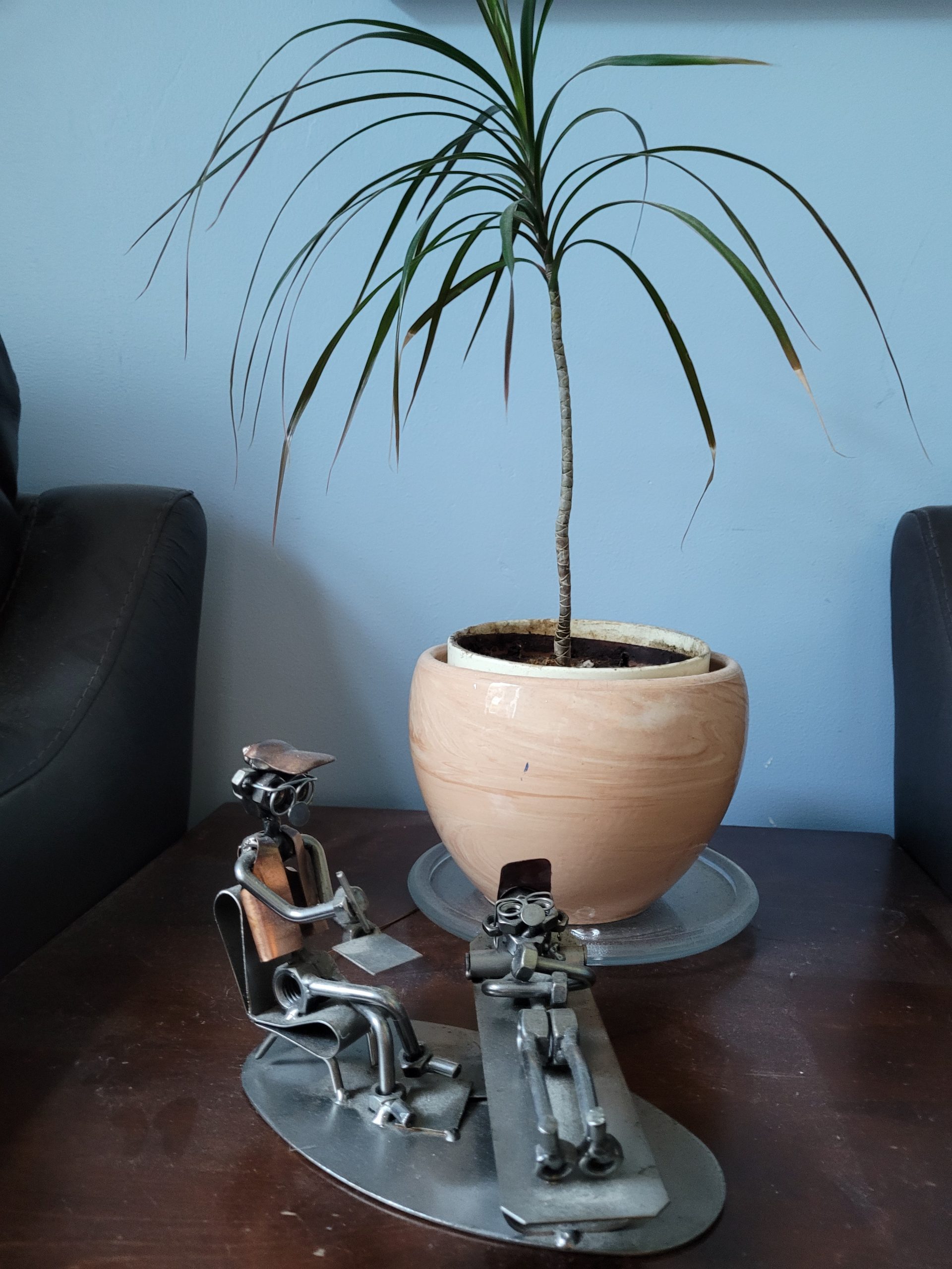 The Space Between Us | NeuroTransception | Dr. Raymi Doyle - Contact Us